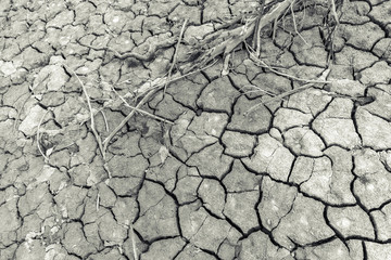 Background of dry and cracked earth.