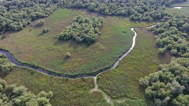 Aerial shot of a half round inflow in the Dnipro basin covered with grass and trees