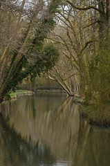 La Jouine - Domaine de Chamarande