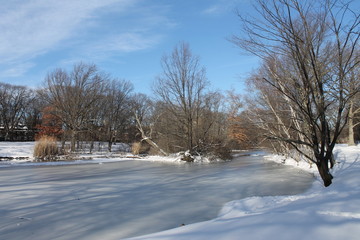 Fototapeta na wymiar 雪と凍った池