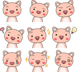 Pig expression set