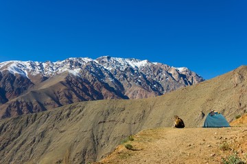 Young blonde girl sitting on arid ground by green igloo camping tent while contemplating Andes snowy mountain range on the background under blue sky in Elqui Valley, Chile