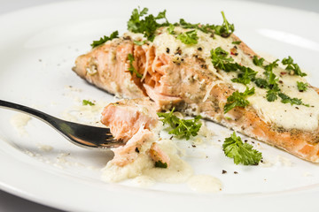 Fried Salmon with cheese sauce, parsley and pepper.