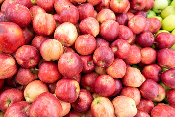 green and red apples on the farm market