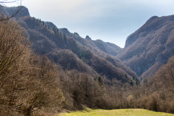 colline di schievenin
