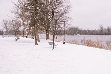 Winter Runners in the Park