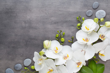 Naklejka na ściany i meble Beauty orchid on a gray background. Spa scene.