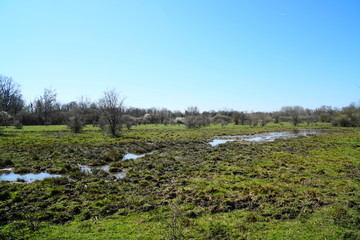 petite camargue