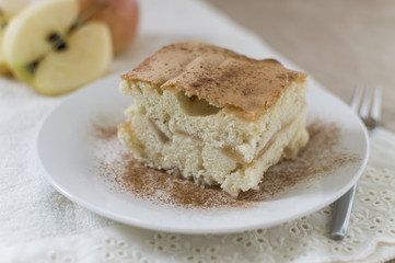 Homemade apple cake on plain paper and cloth napkin