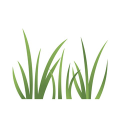 Grass designed in paper art style.