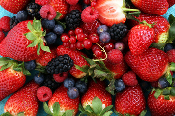 Obraz premium Berries overhead closeup colorful assorted mix of strawberry, blueberry, raspberry, blackberry and red currant