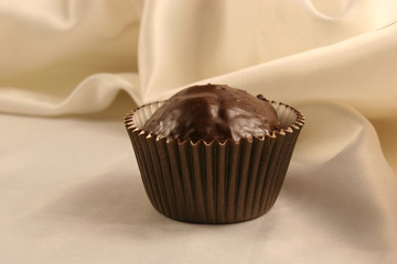 Chocolate muffin closeup