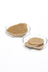 gluten plakları,buğday içerisindeki buğday proteini olan gluten,