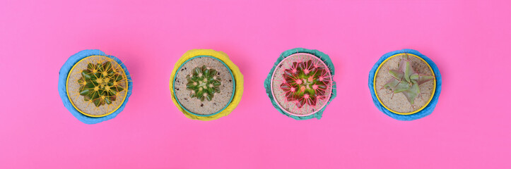 Colorful Cactus set in multicolored flowerpots on Fuchsia background. Minimal Summer design. Trendy...