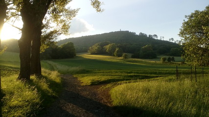 Fototapeta premium nature koprivnice czech republic