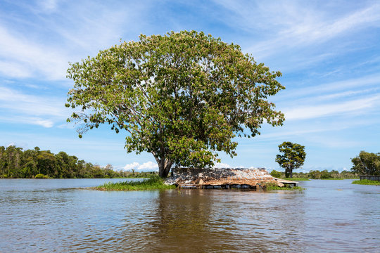 Submerged tree and roof of a house in flooded Amazon River © Imago Photo