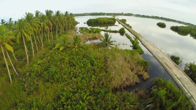 Filipino village with a lake. Anda. Bohol Island. Evening time. Aerial view. Fine artificial road.