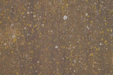 Metal surface with verdigris and lichen