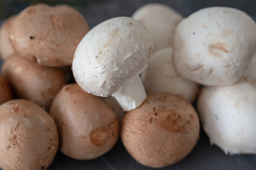 Champignon