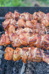 closeup of grilled meat on bbq outdoors.