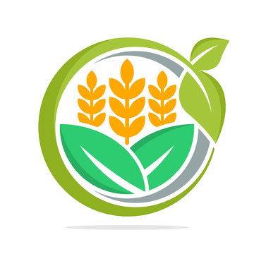 logo icon for business management and development of food commodities, especially for wheat, organic rice