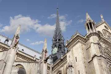 Upper side of Notre Dame Cathedral - Paris