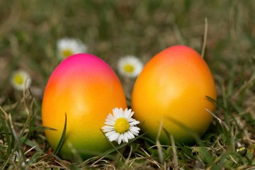 Colorful easter eggs