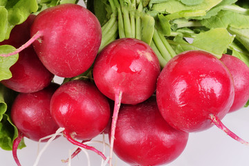 Bunch fresh juicy radish close-up on a white background.