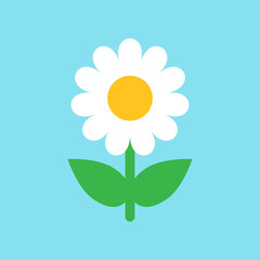 Chamomile flower vector icon in flat style. Daisy illustration on blue isolated background. Camomile sign concept.