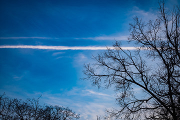Inversion trail from an airplane in the sky