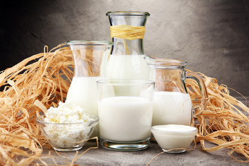 milk products. tasty healthy dairy products on a table on