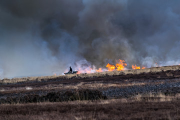 Burning the dead heather. North Yorks Moors