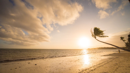 Eenzame palm die op het strand hangt tijdens zonsopgang op Boracay. Wit strand bij Boracay-eiland, Philiphines.