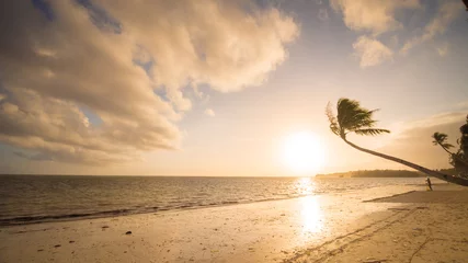 Keuken foto achterwand Boracay Wit Strand Eenzame palm die op het strand hangt tijdens zonsopgang op Boracay. Wit strand bij Boracay-eiland, Philiphines.