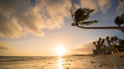 Fototapeta na wymiar Lonely palm hanging on the beach during sunrise on Boracay. White beach at Boracay island, Philiphines.