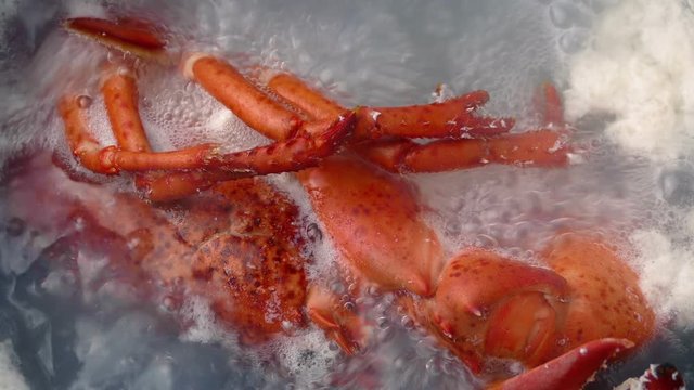 Lobster Cooking In Boiling Water