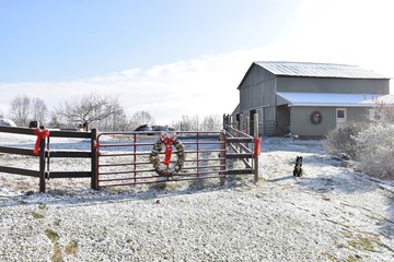 Farm Christmas scene - Powered by Adobe