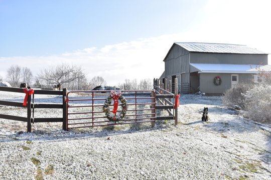 Farm Christmas scene