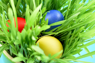 Colorful Easter eggs in the grass stock images. Easter decoration photo. Spring decoration images. Painted Easter eggs