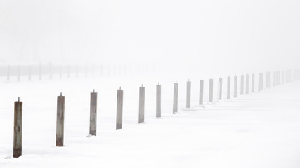 Piles stick out of a frozen lake with fog in the background