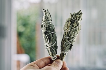 Incense of white salvia
