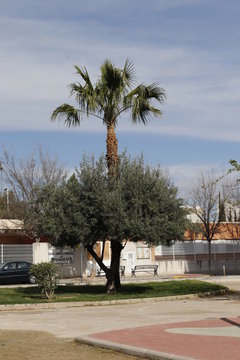Fotos parques urbanos de Manises