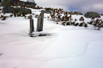 Wooden pins in the snow