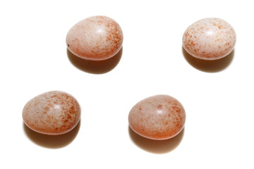  Robin (Erithacus rubecula).