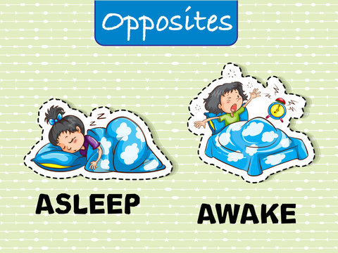 Opposite words for asleep and awake