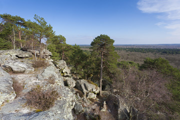 View from Fontainebleau, Ile-de-france, France