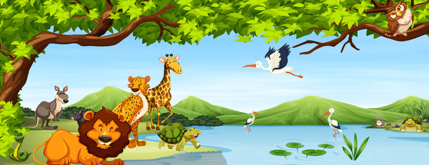 Various wild Animals Scene