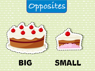 Opposite words for big and small