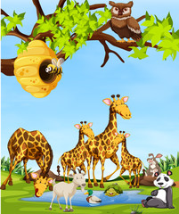 Obraz premium Wildlife animals scene
