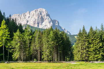 View of Sassolungo from val lunga, near Ortisei, Dolomites, Italy.